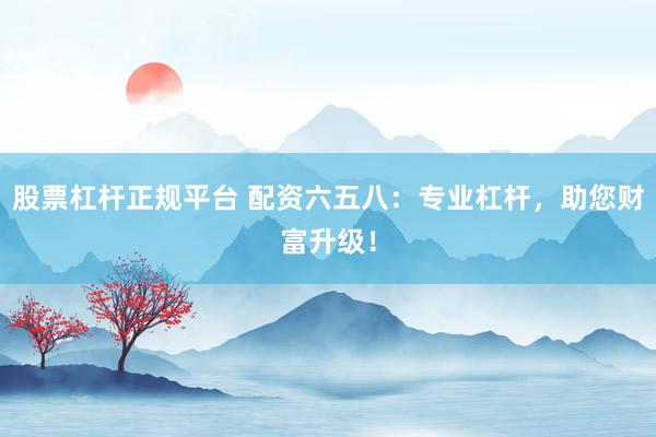 股票杠杆正规平台 配资六五八：专业杠杆，助您财富升级！