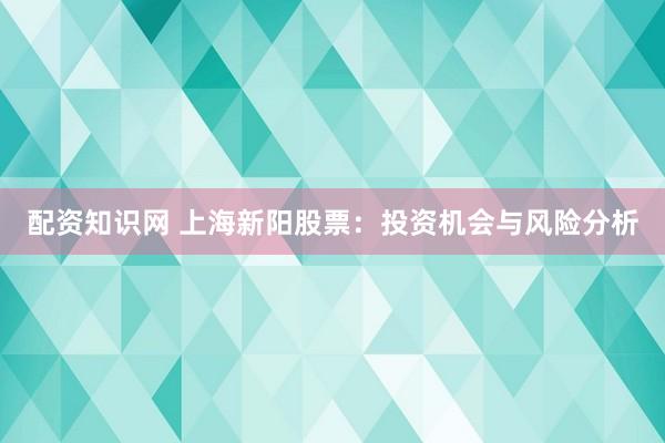 配资知识网 上海新阳股票：投资机会与风险分析