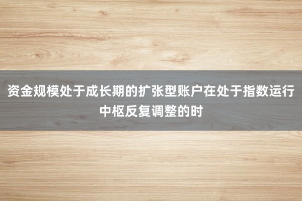 资金规模处于成长期的扩张型账户在处于指数运行中枢反复调整的时